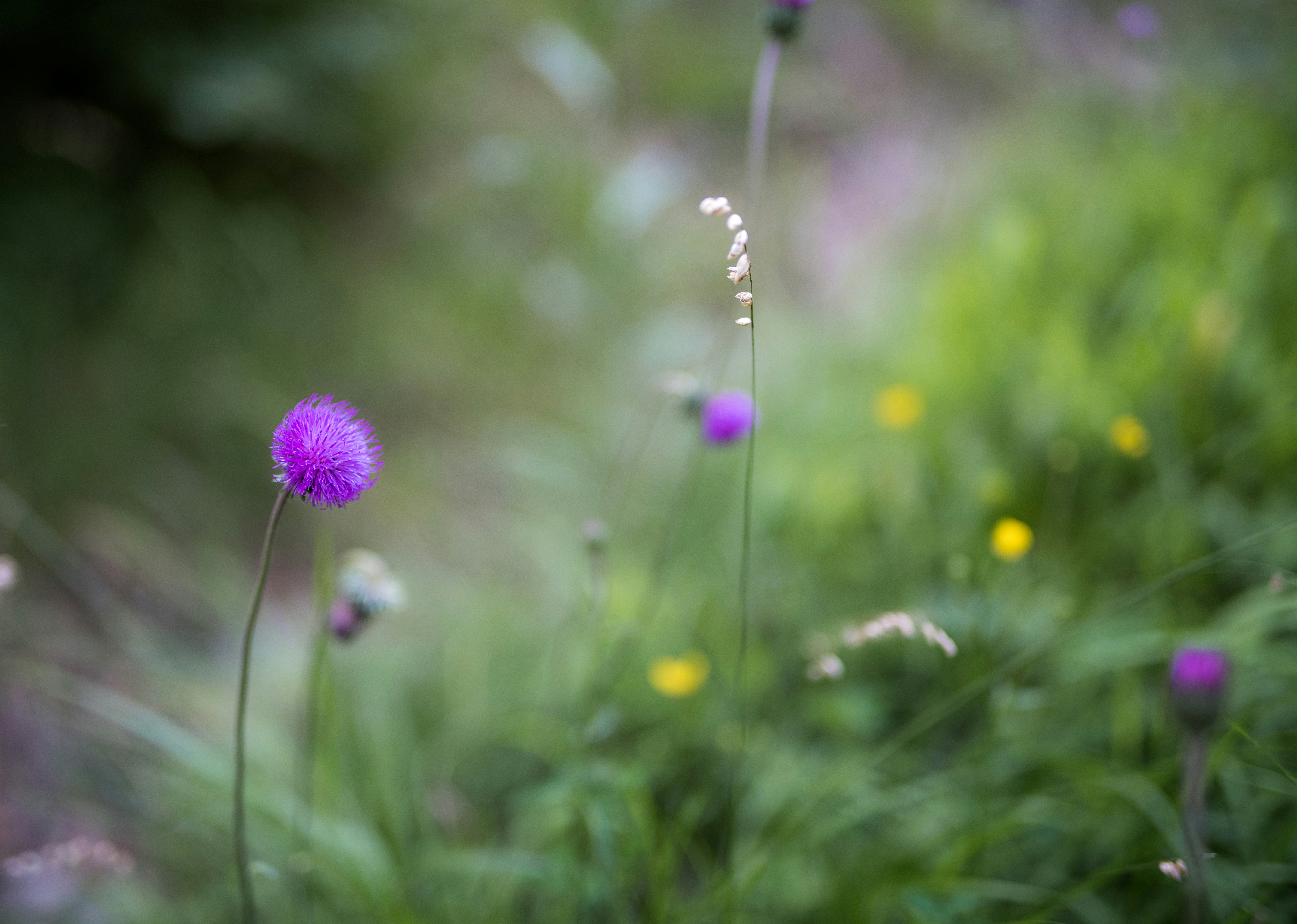 Photo by manucruceru