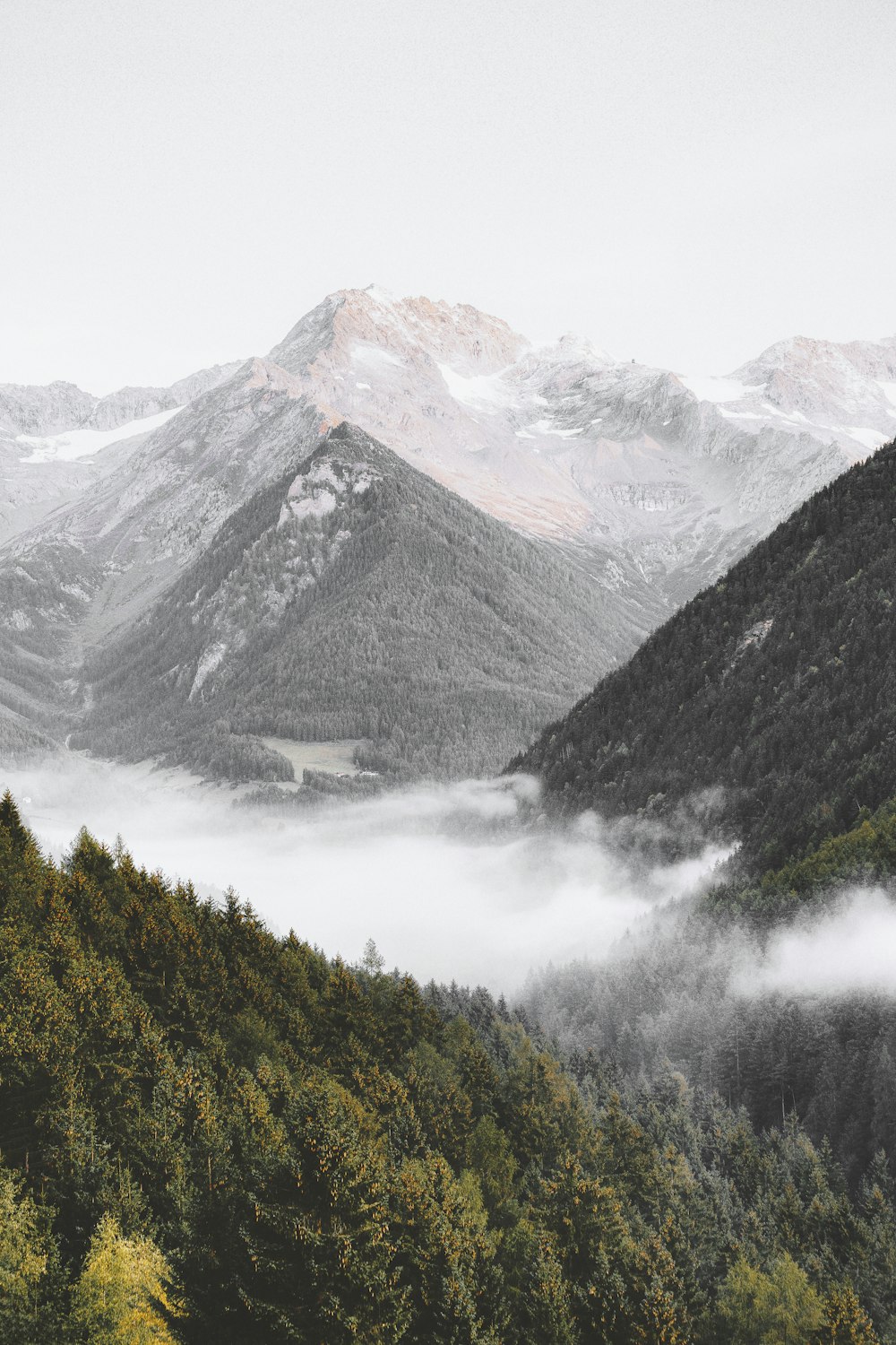 a mountain range covered in fog and low lying clouds