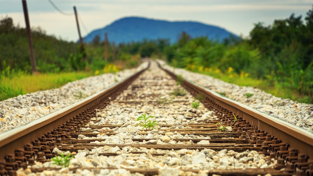 brown metal train railways photo