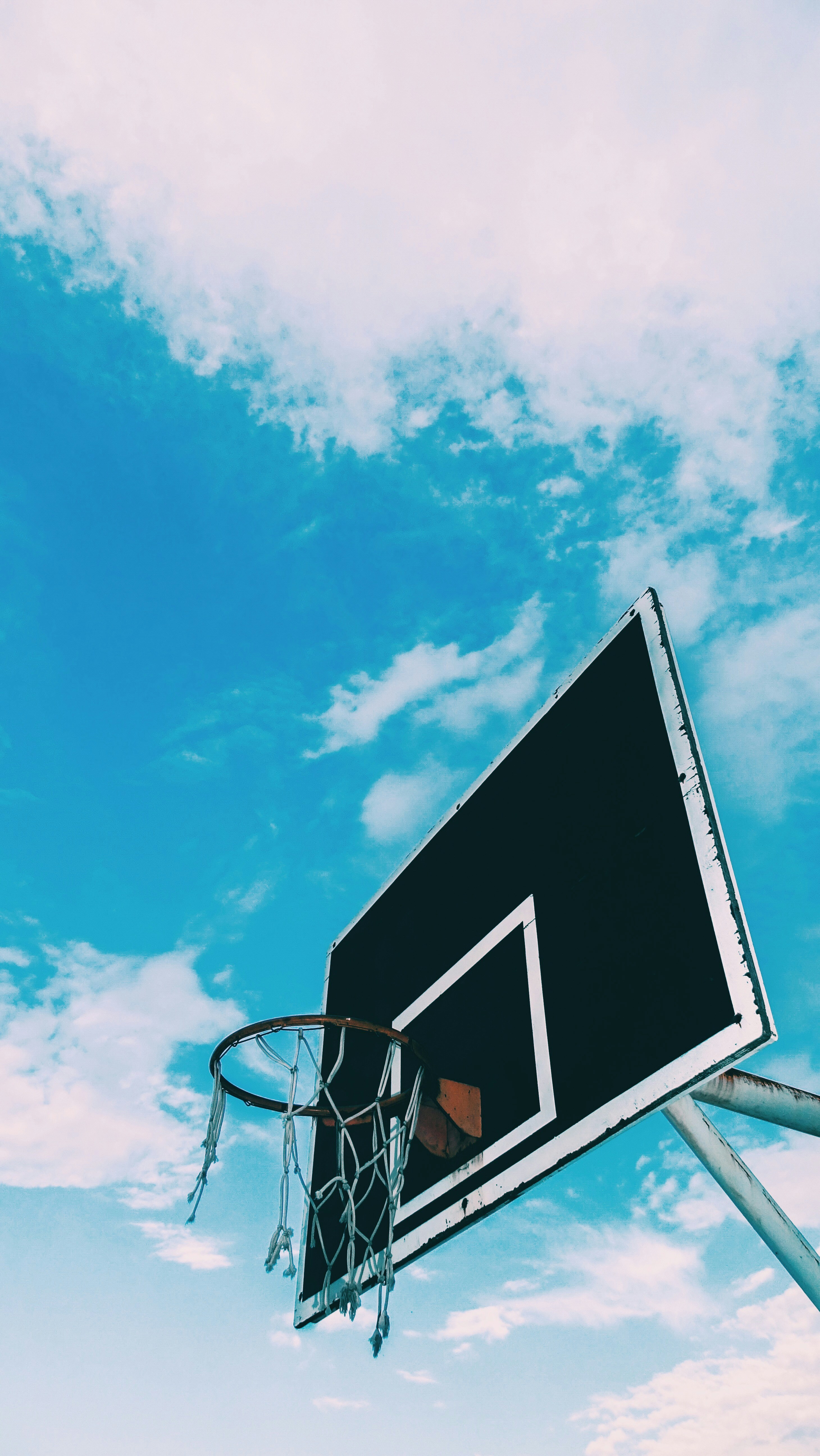 Pro Basketball Hoop
