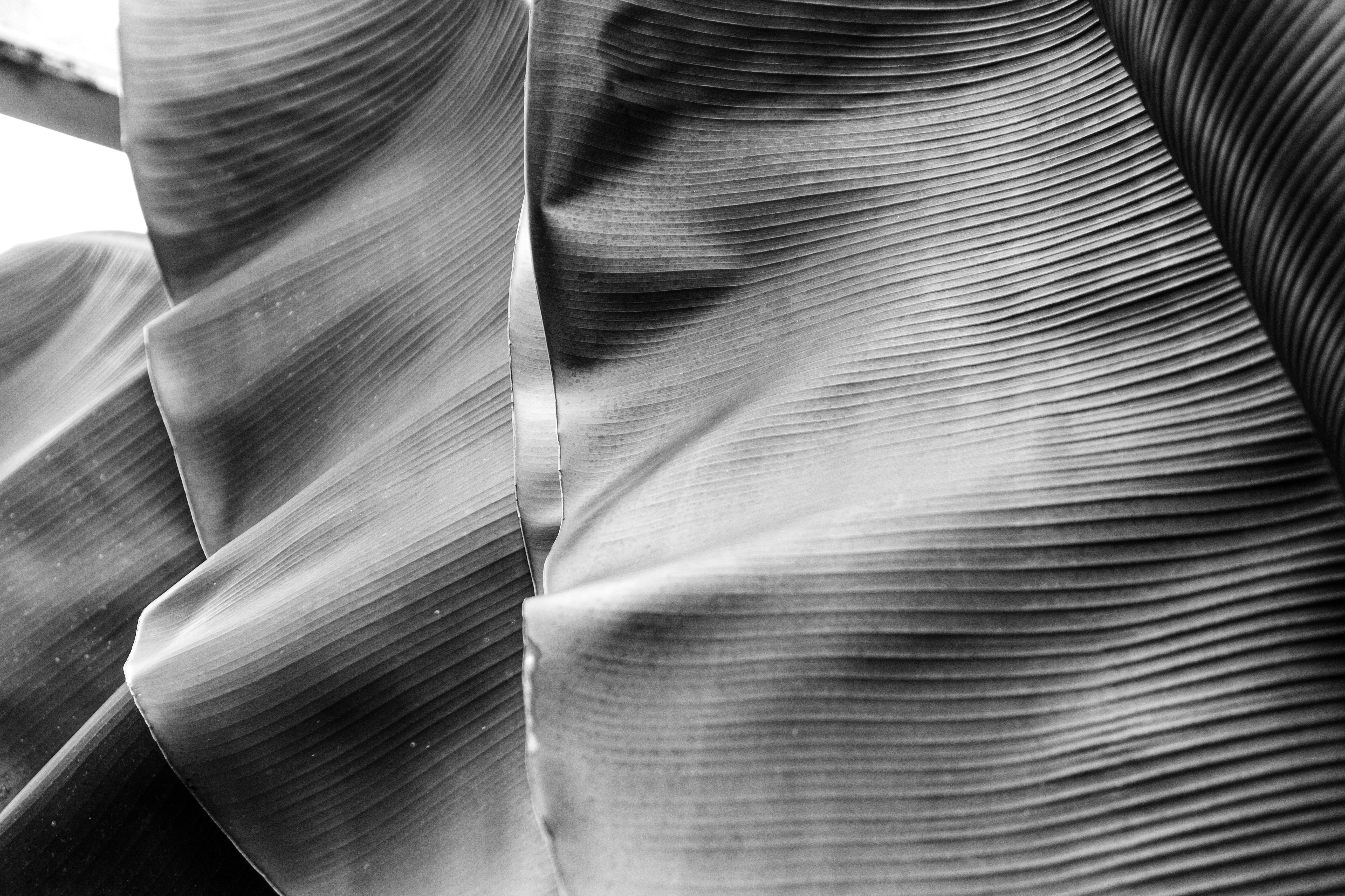 Photo by juliazolotova