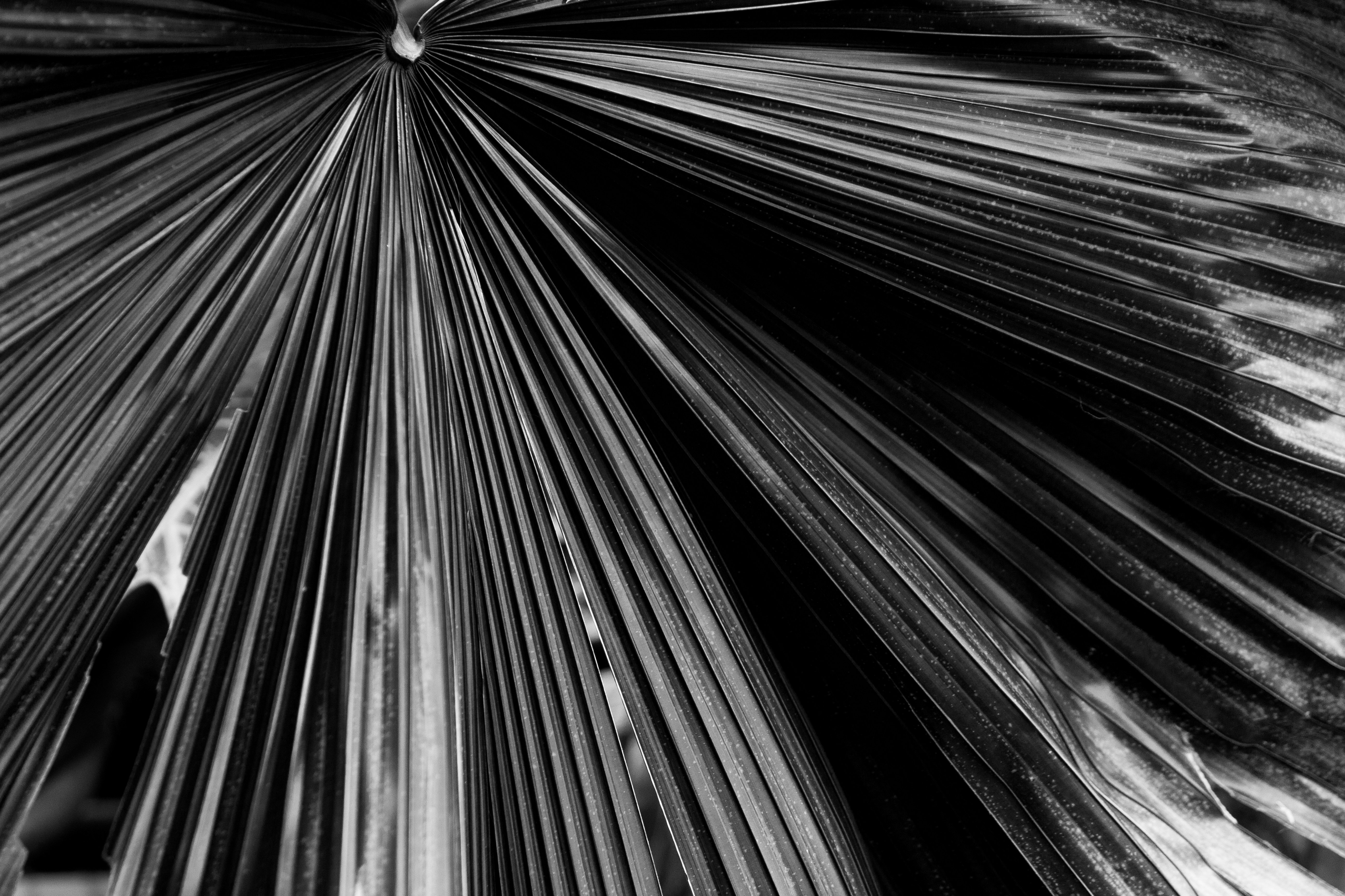 Photo by juliazolotova