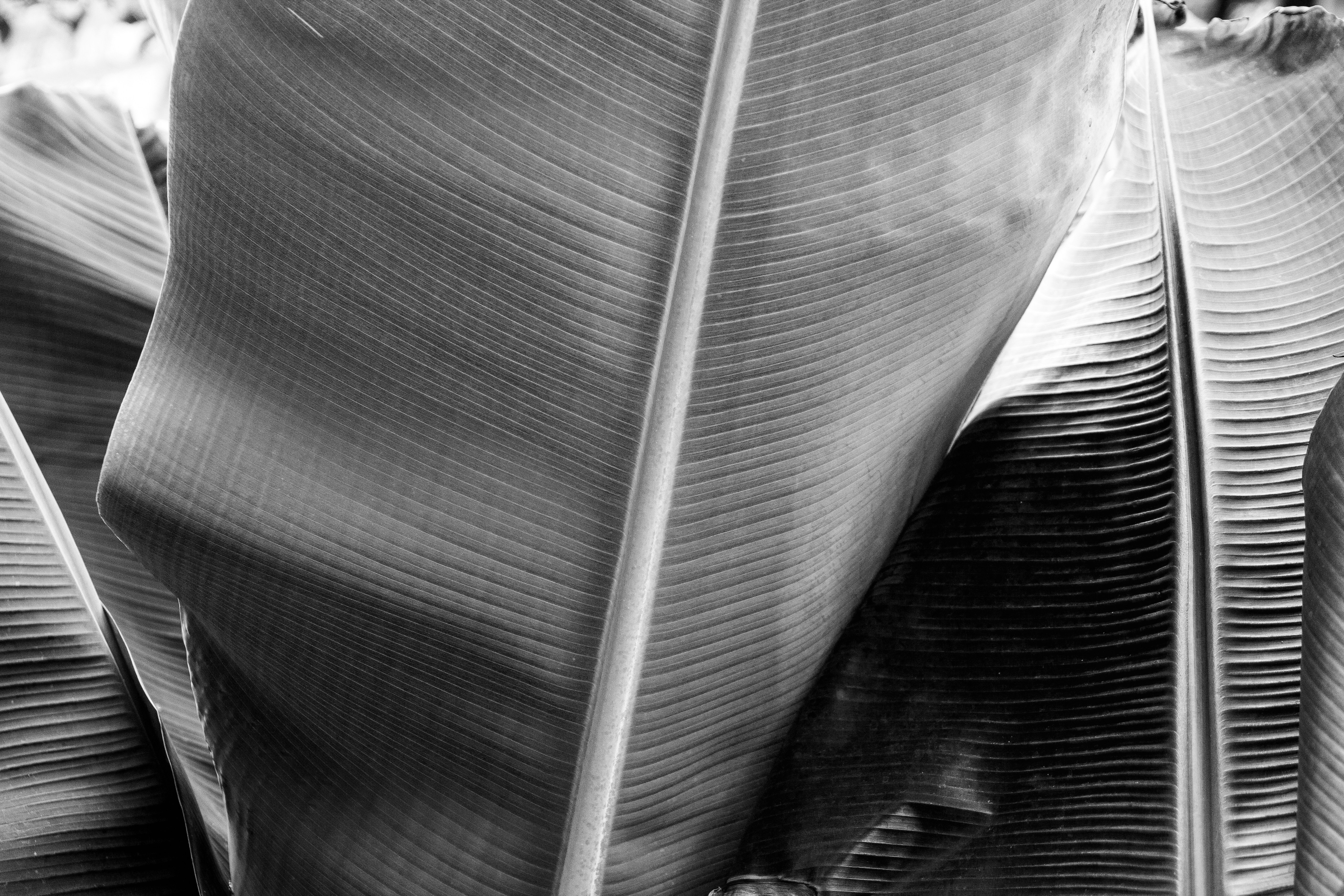 Photo by juliazolotova