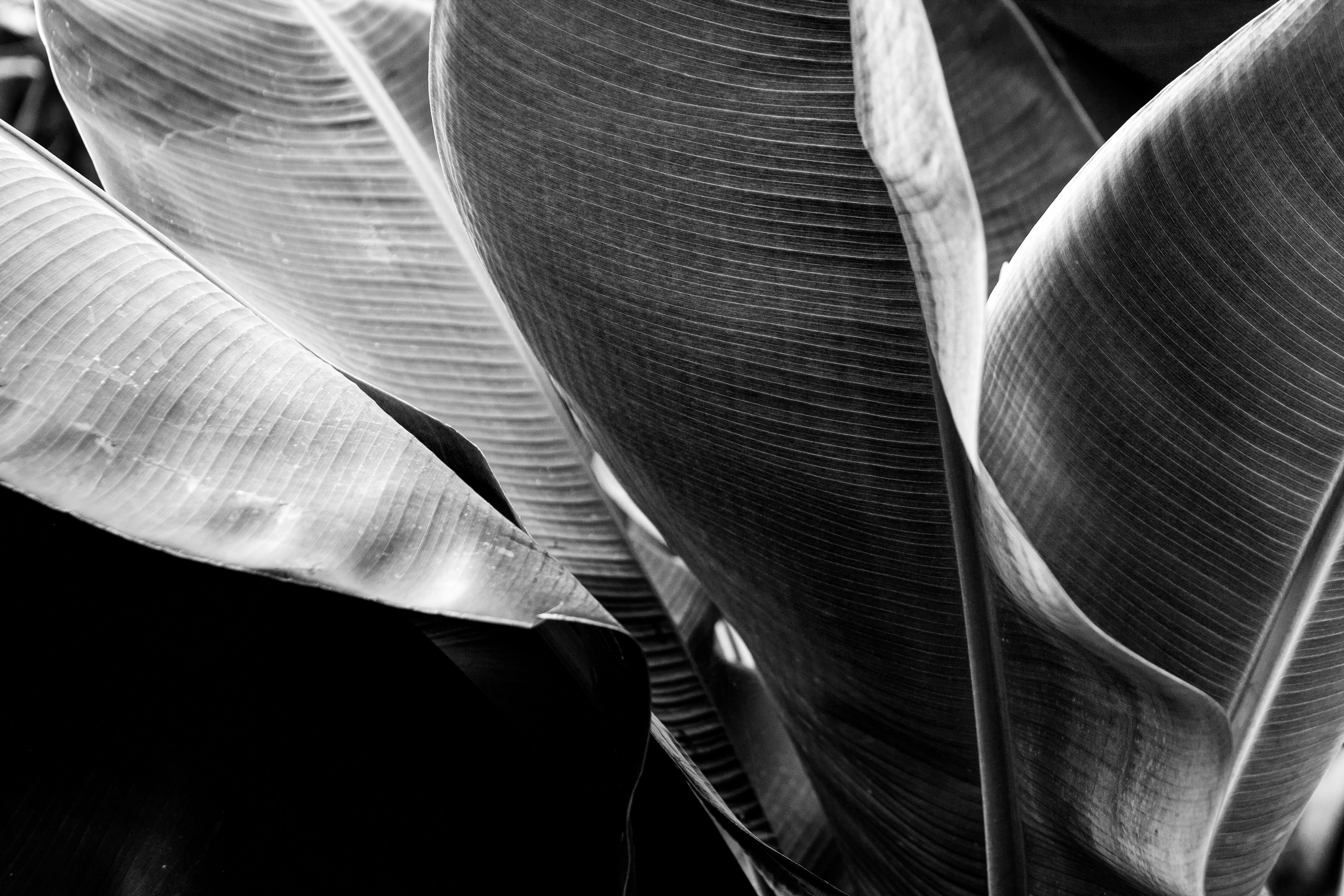 Photo by juliazolotova