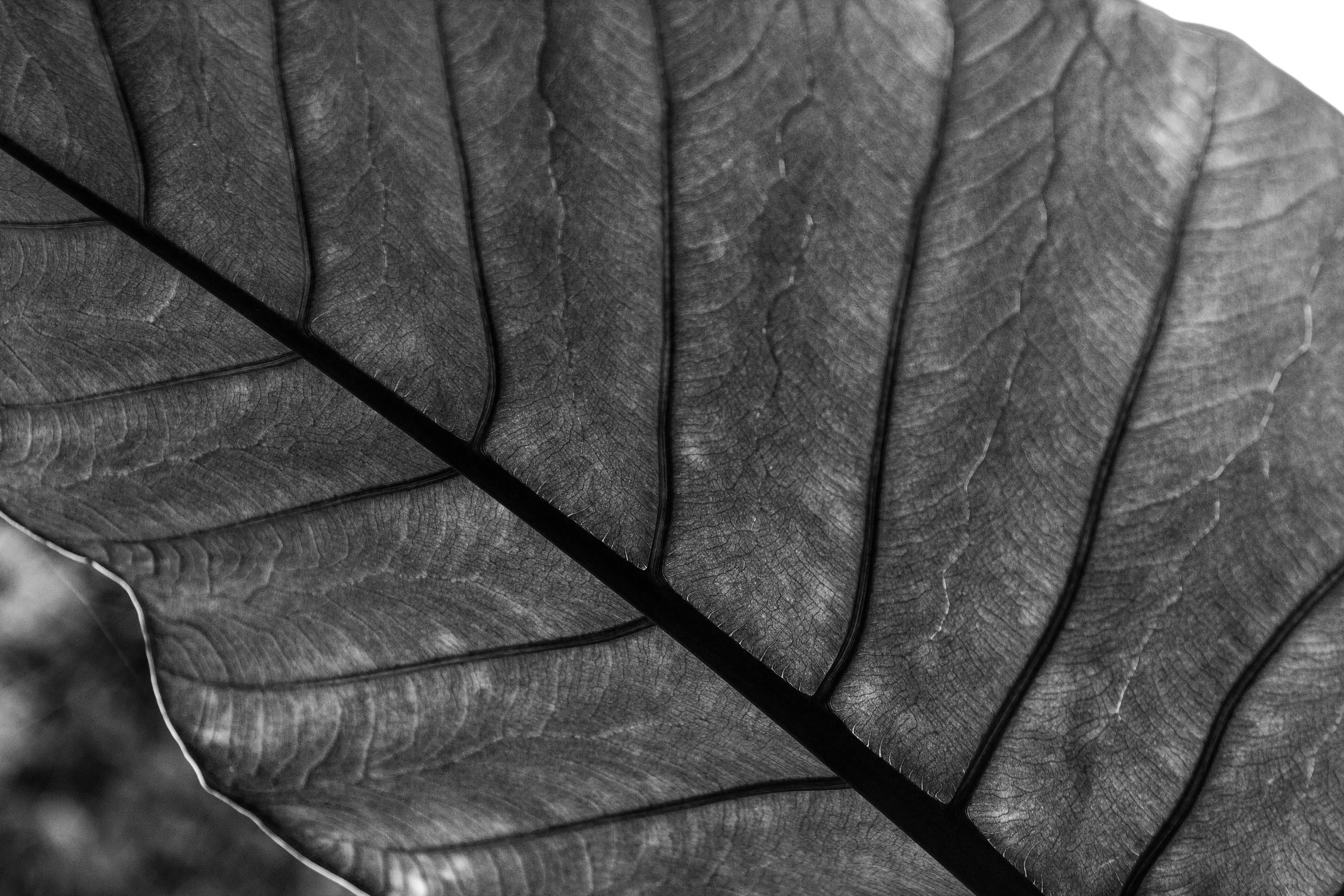 Photo by juliazolotova