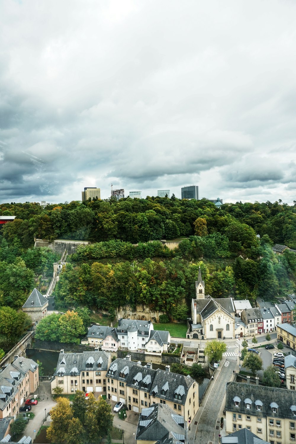 buildings by forest during daytime