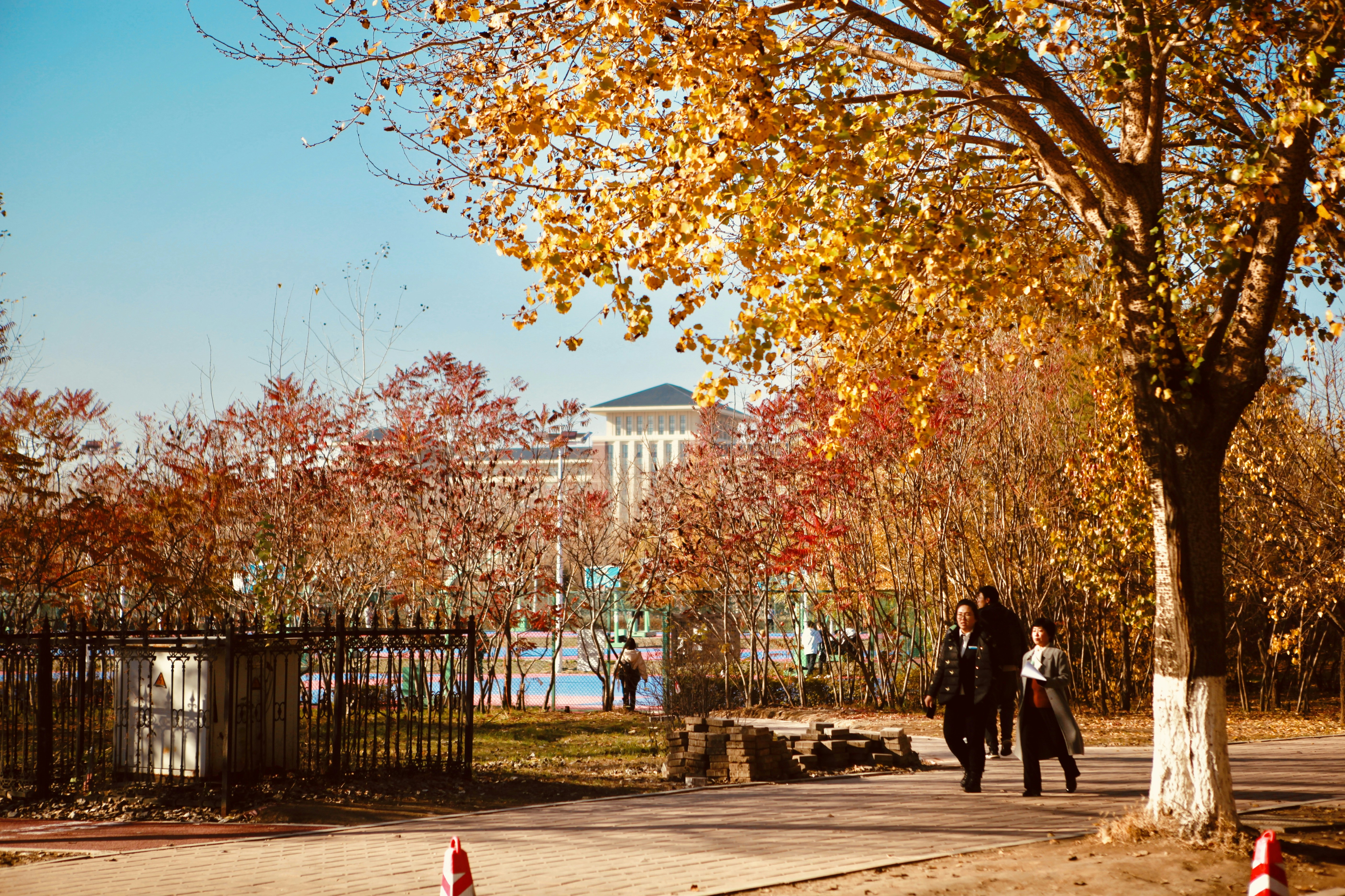 three people walking near outdoor during daytime