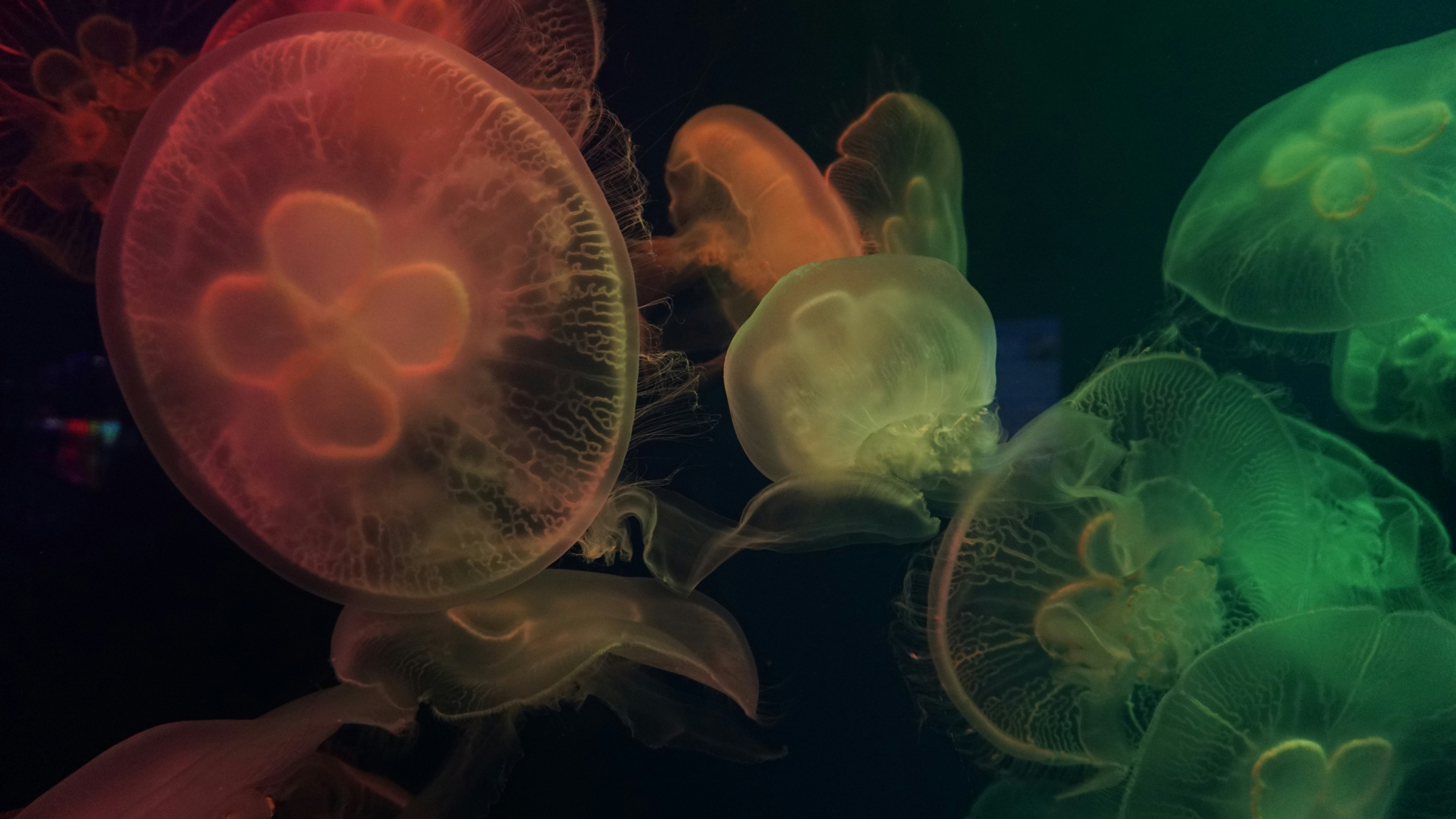 Photo by mw960367054