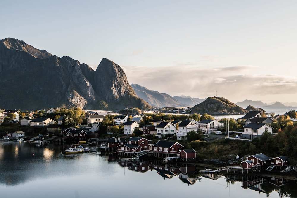 houses near body of water