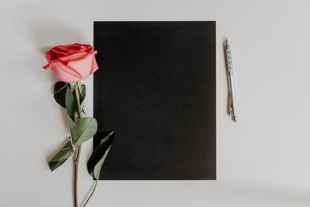 Fleur de rose orange à côté du carnet et du stylo