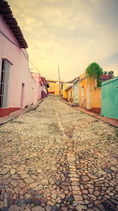 concrete street between houses
