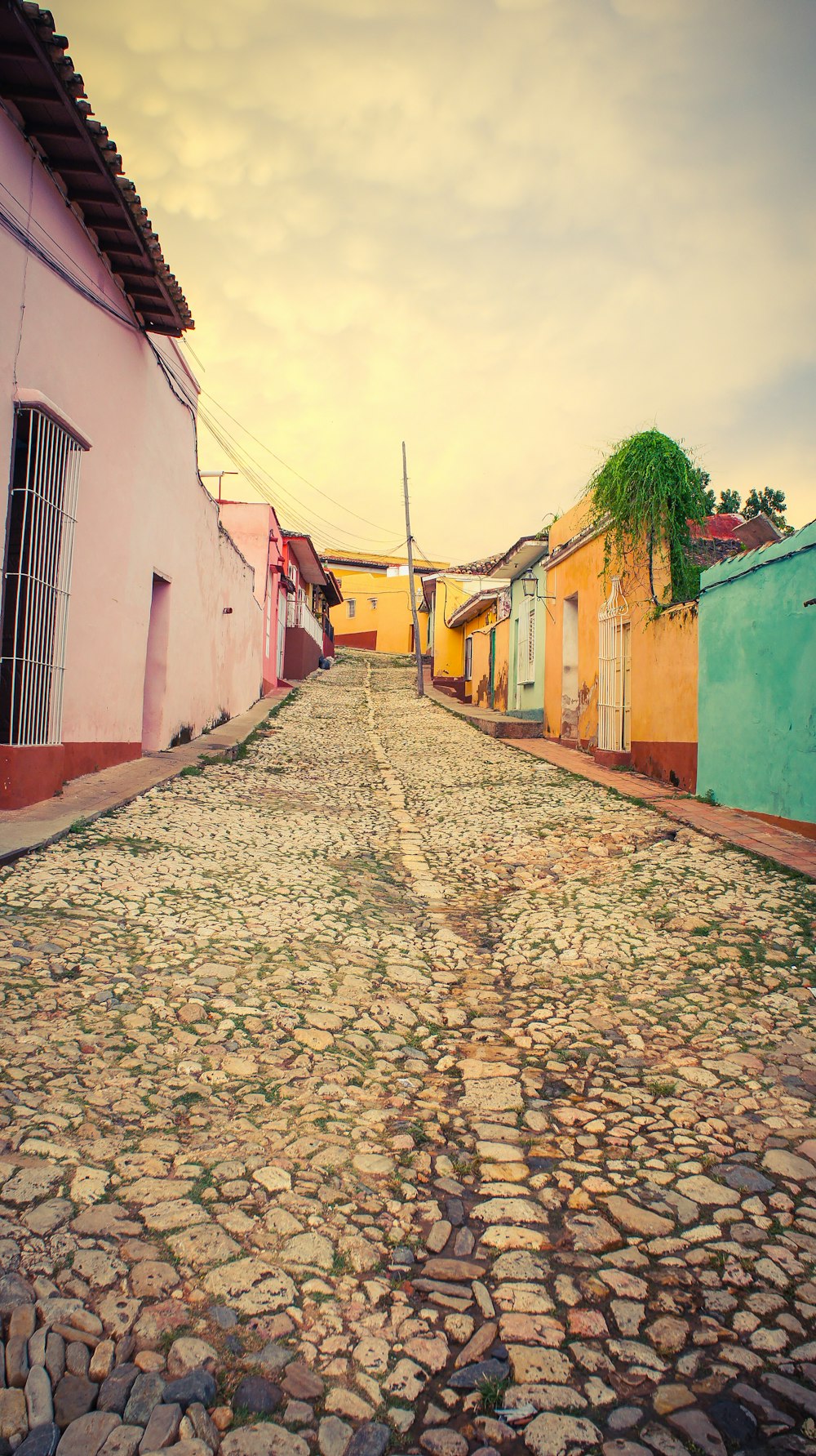 concrete street between houses