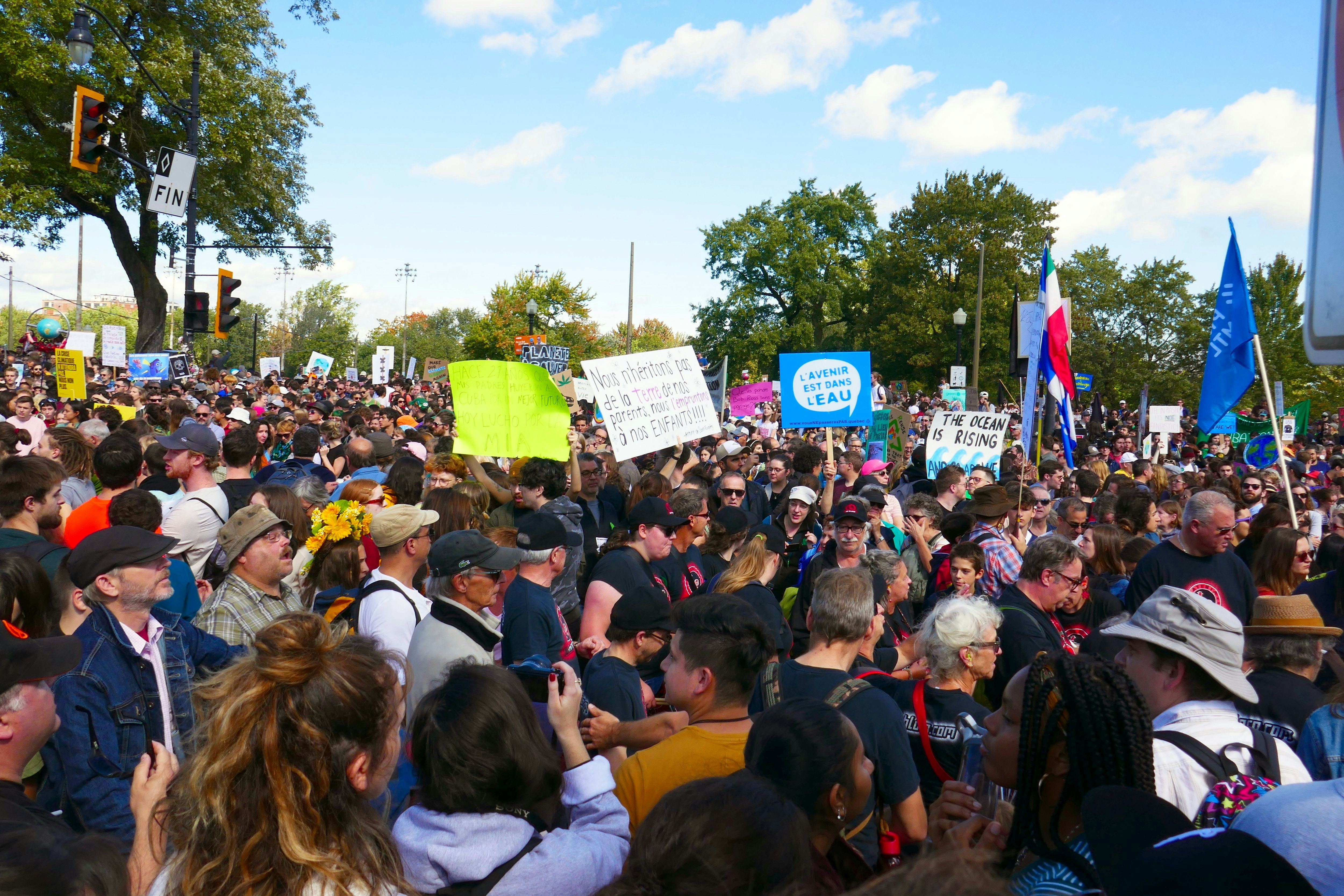 Photo by willia_shepherd