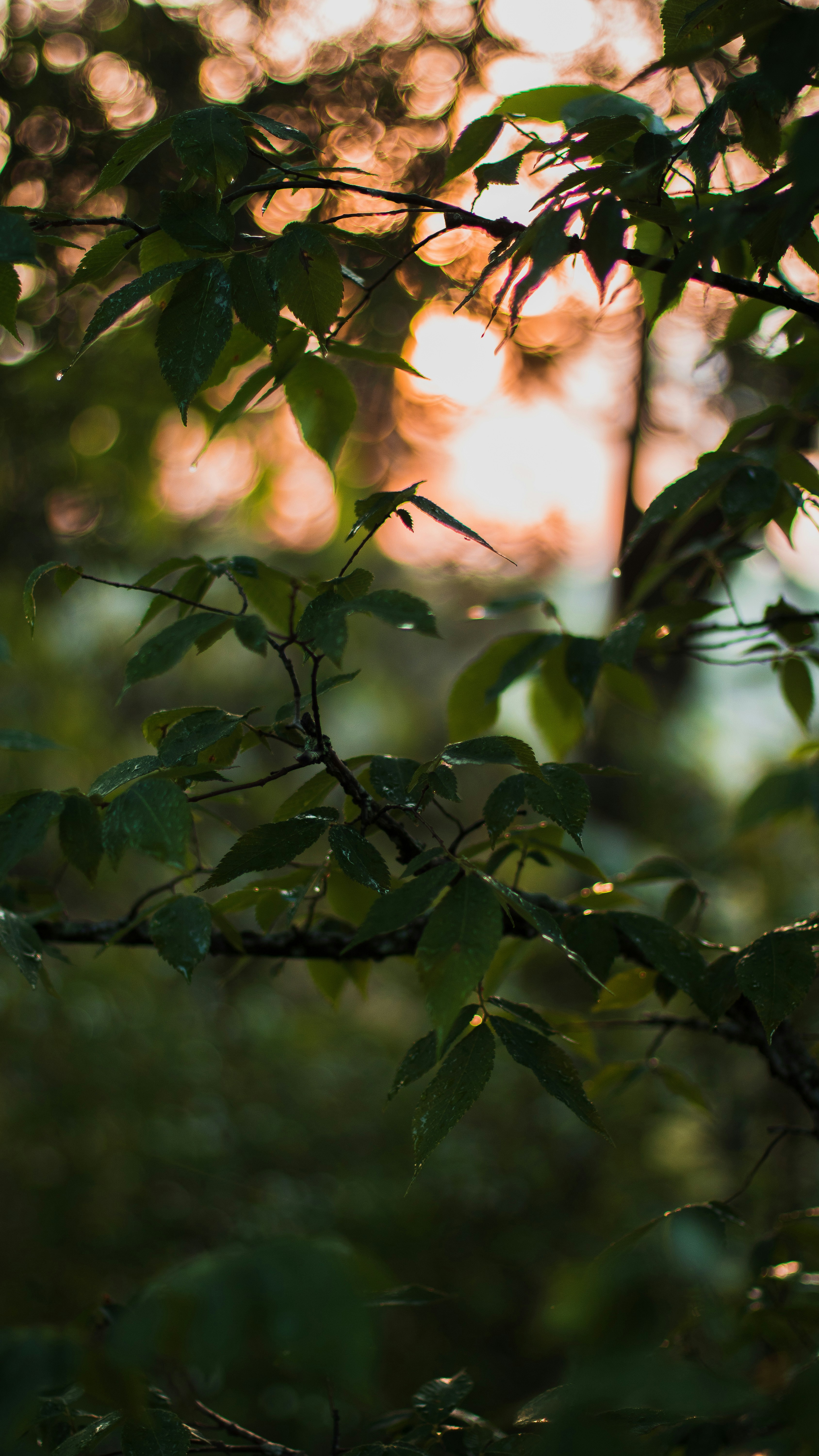 Photo by jechristianmack