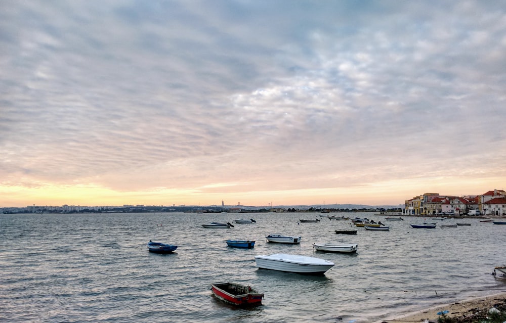 a group of boats floating on top of a body of water