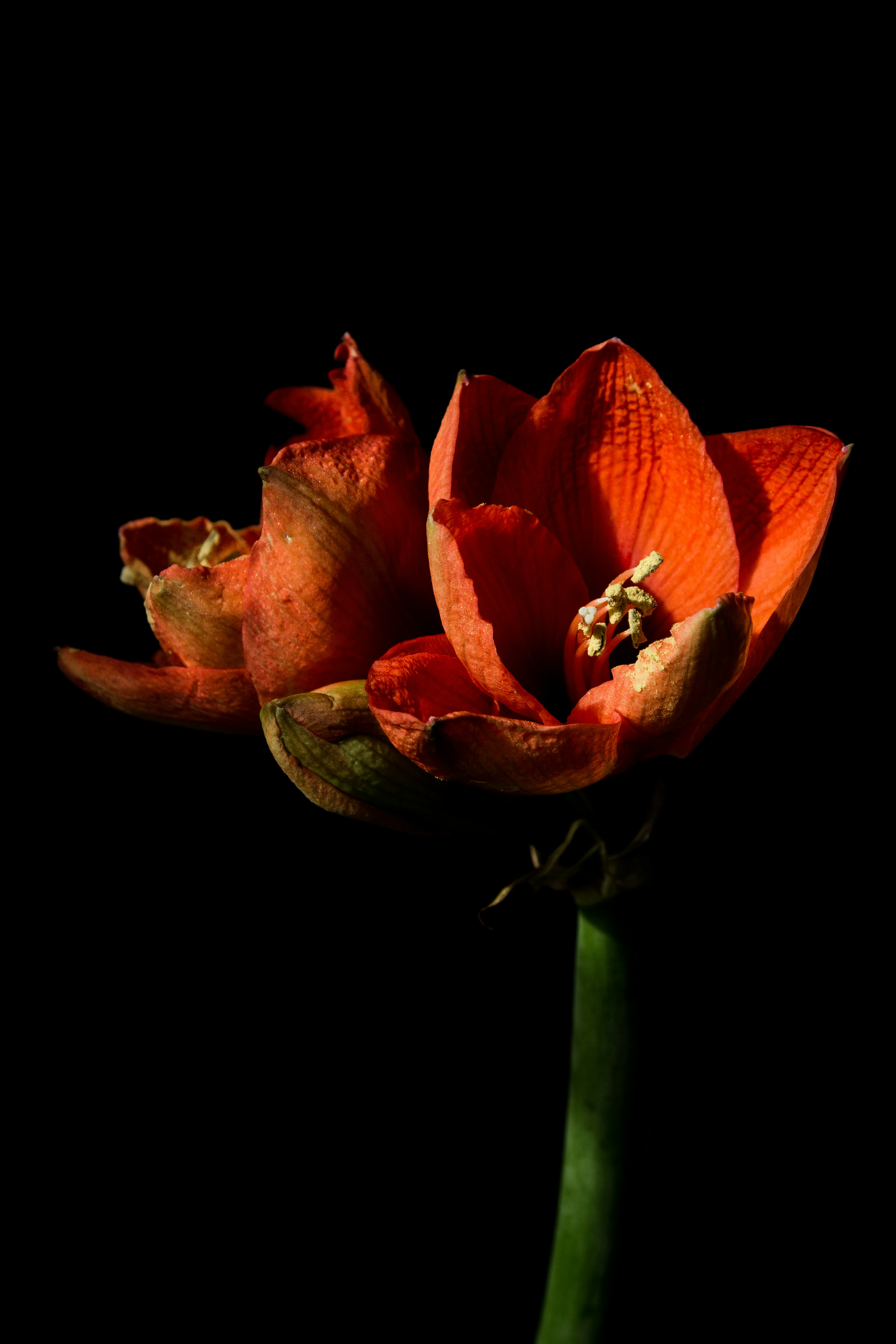 Photo by juliazolotova