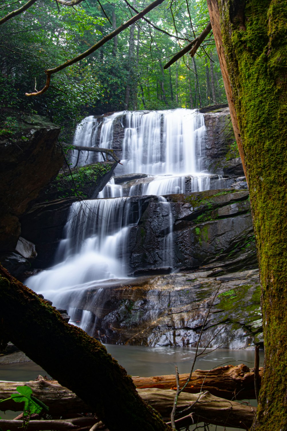 waterfalls surrounded by green trees