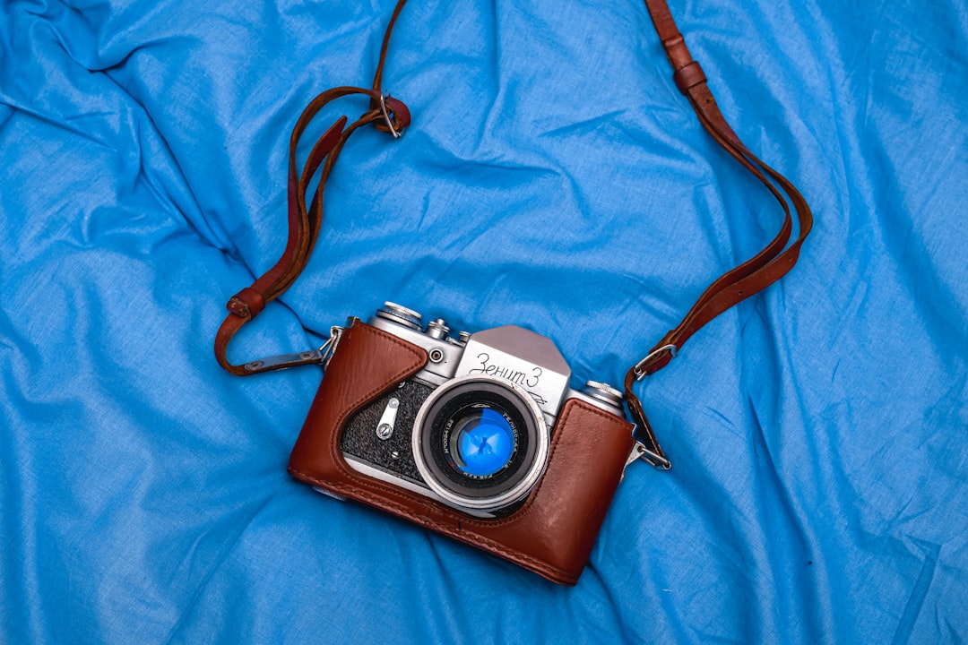 brown bridge camera