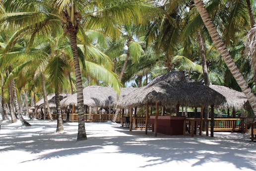 A tropical beach scene with palm trees swaying over sandy terrain. Several thatched-roof huts are nestled among the trees, offering shaded refuge. The sunlight creates dappled patterns on the sand, adding to the relaxed and inviting atmosphere.