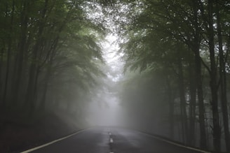 green-leafed trees