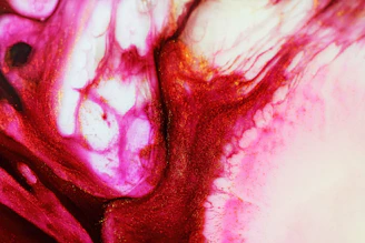 Abstract composition of interlacing gold and deep red shapes floating gently over a pale canvas.