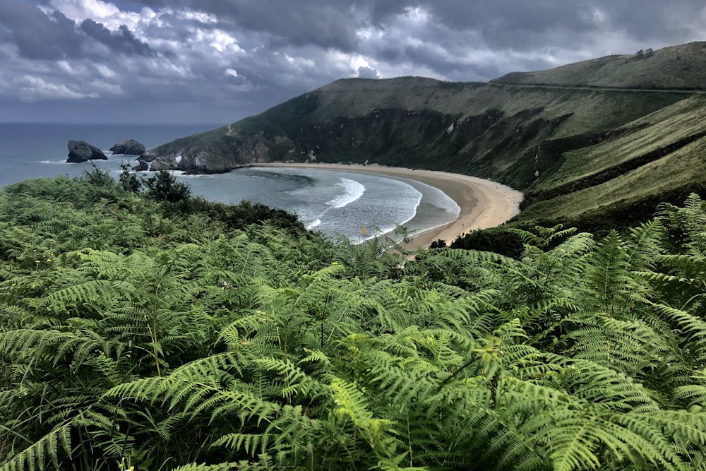 wide-angle photography of mountain range and seashore during daytime