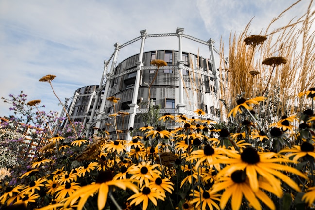 A beautifully landscaped garden featuring the aluminum building.