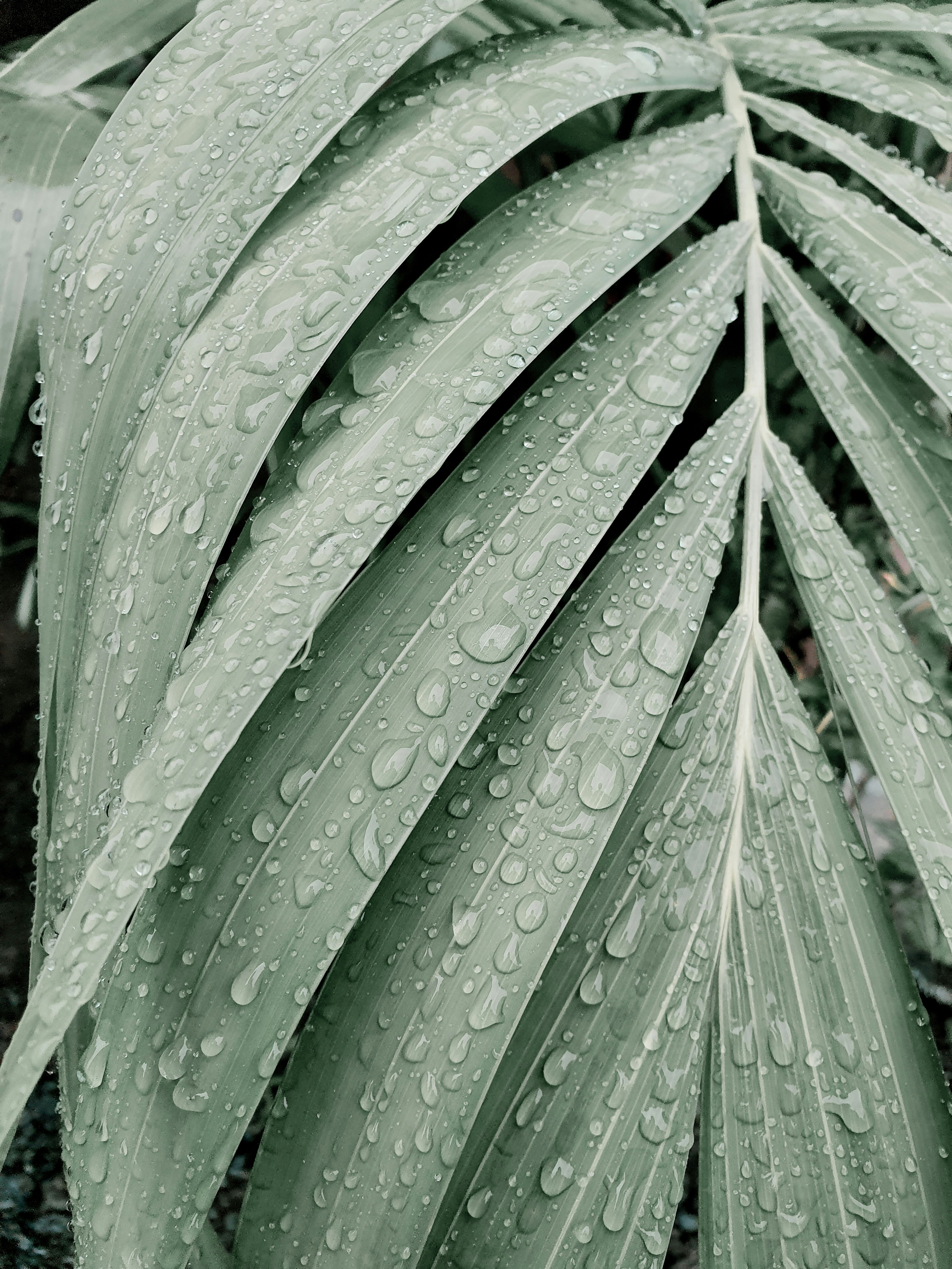 Photo by reymelvinwafu