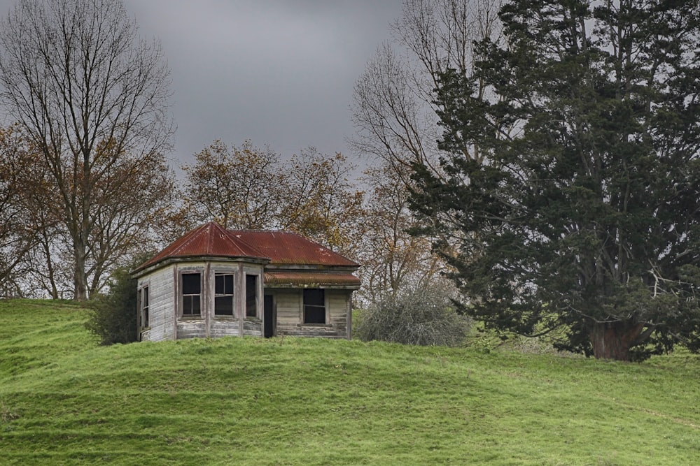 brown wooden house surrounded by grass