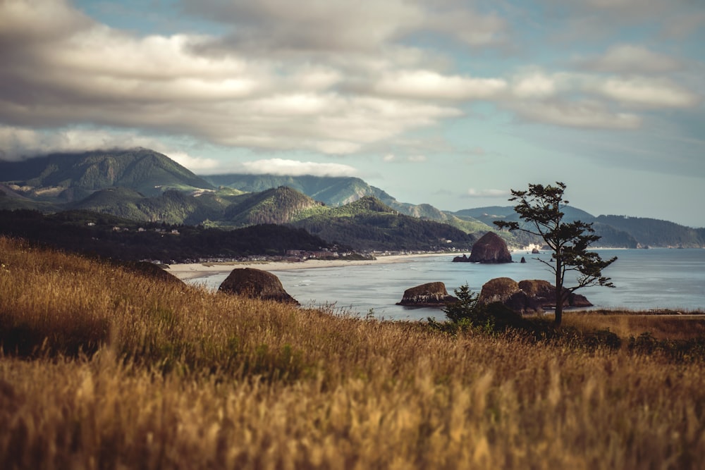 昼間の山岳地帯と海岸の撮影