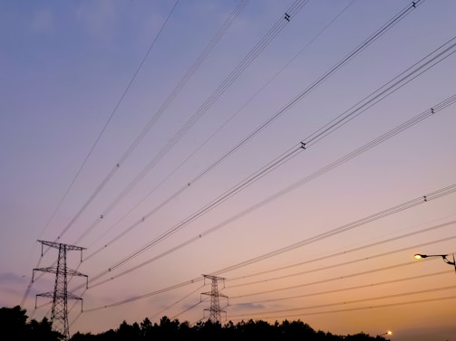A network of power lines stretches across the sky, connected by tall metal pylons. The sky is transitioning from shades of purple to orange, indicating either sunrise or sunset. Trees are silhouetted against the horizon, and a streetlamp is visible in the lower right corner, casting a warm glow.