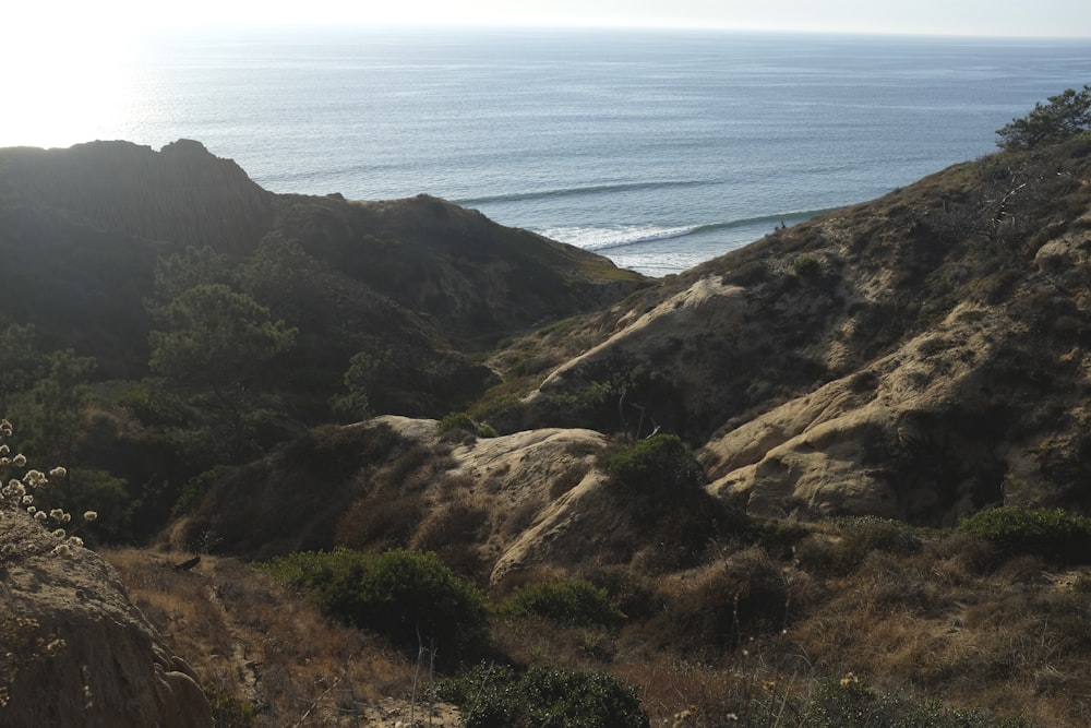 green tress mountain range near sea