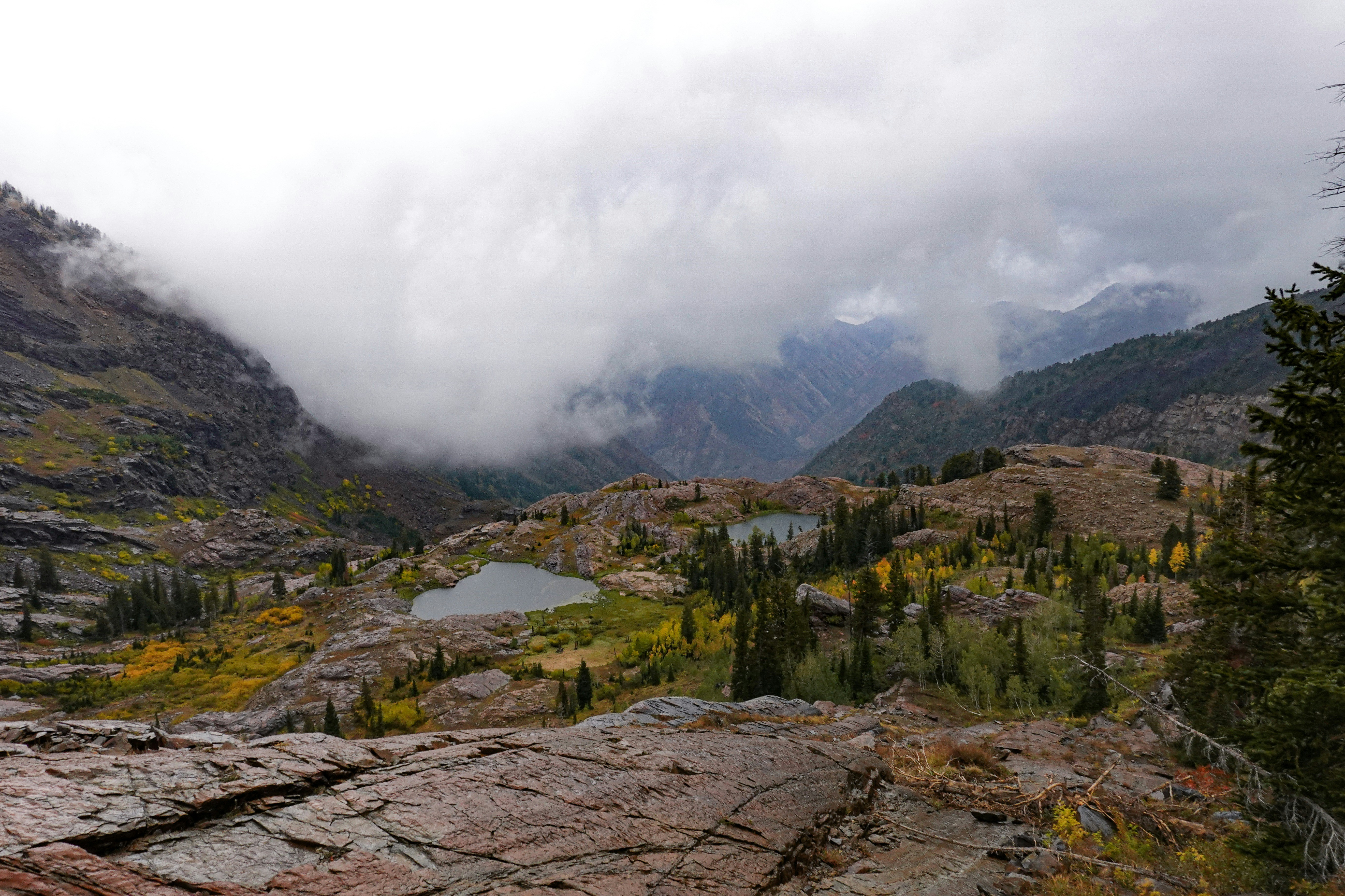 Arbres et chaîne de montagnes sous les nuages blancs