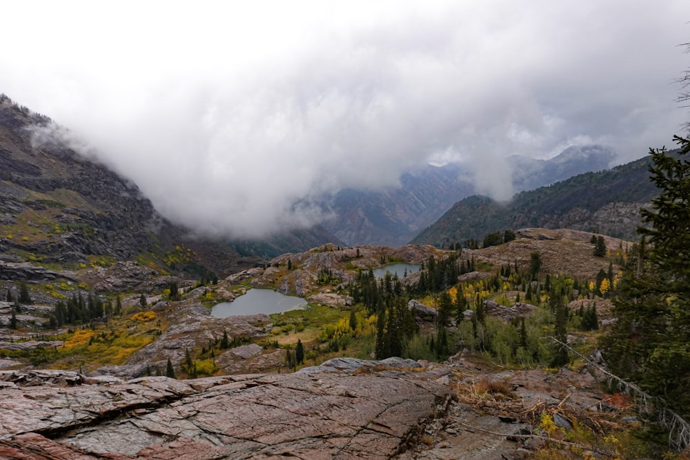 trees and mountain range under white clouds