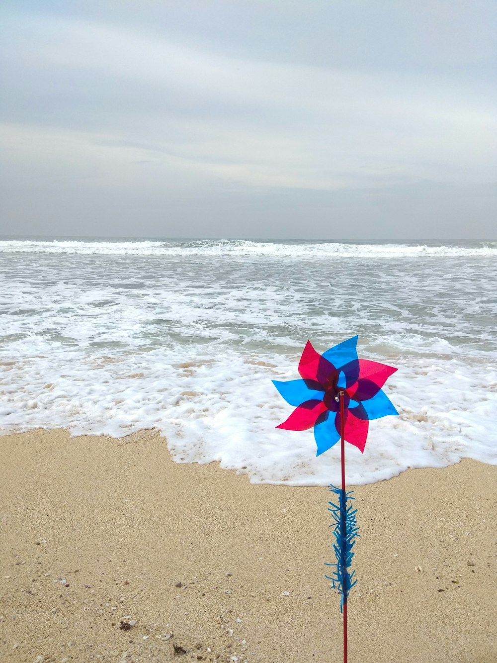 flower decor near sea