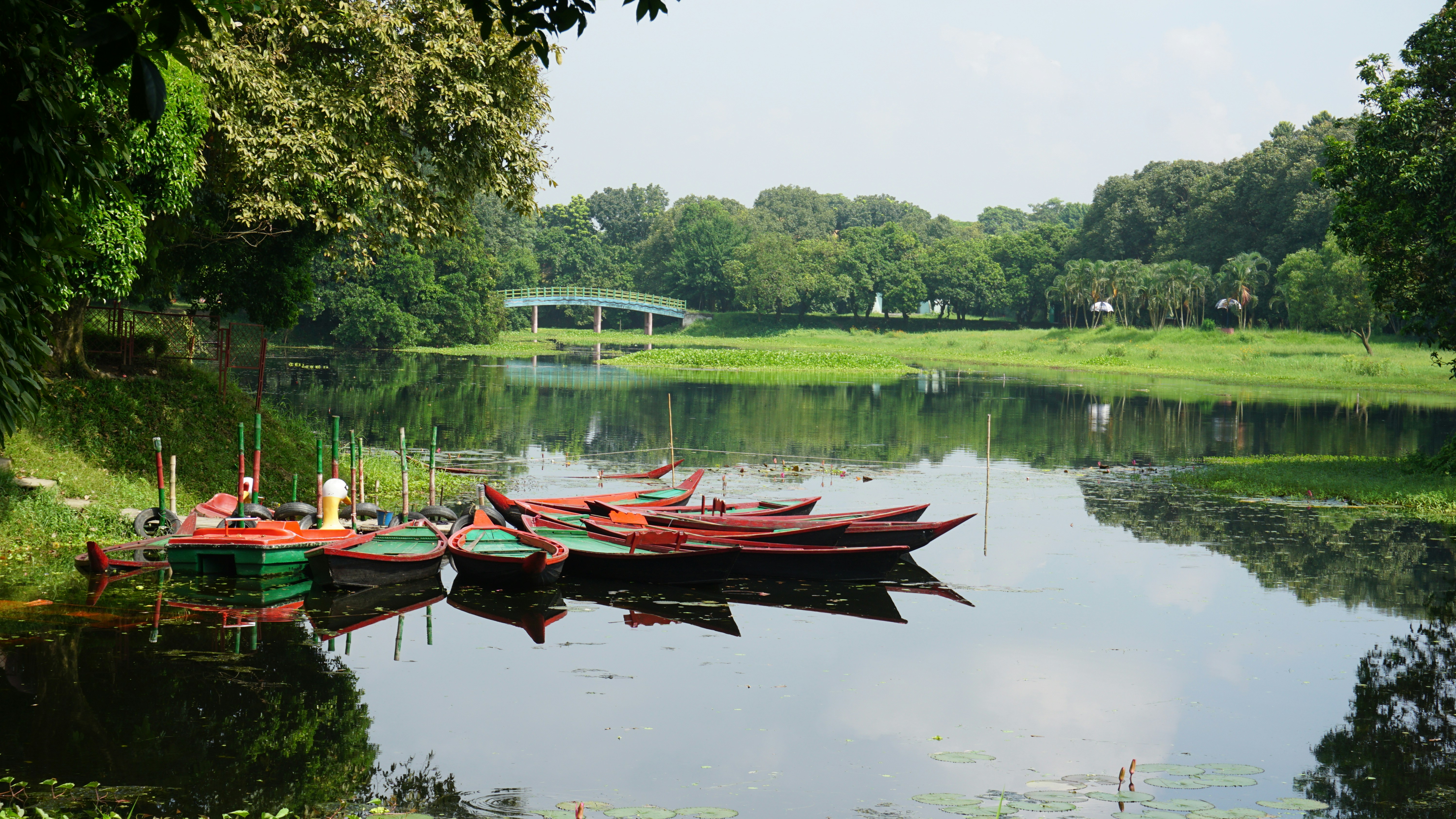 Photo by thesorwarhossain