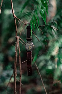 Military Watch