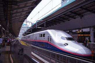 A sleek, modern high-speed train is stationed at a busy platform. The train has a distinctive aerodynamic design with a silver body and a blue stripe. The platform is sheltered by a large overhang supported by beams. A crowd of people is gathered on the platform, some standing close to the train.