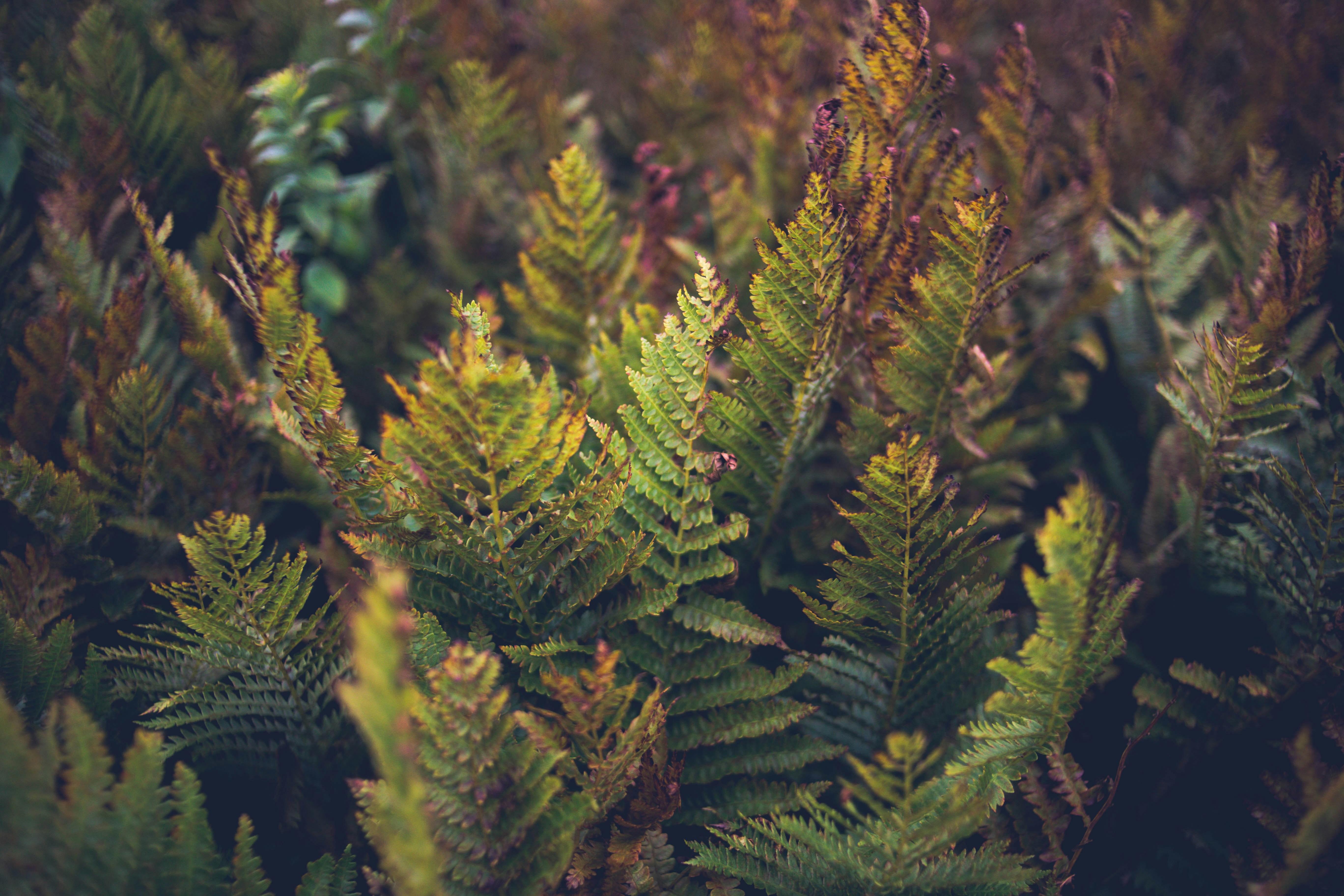 Photo by introspectivedsgn