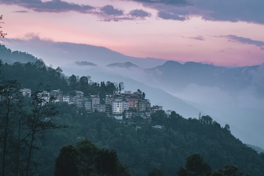 high rise buildings at daytime in Pelling India