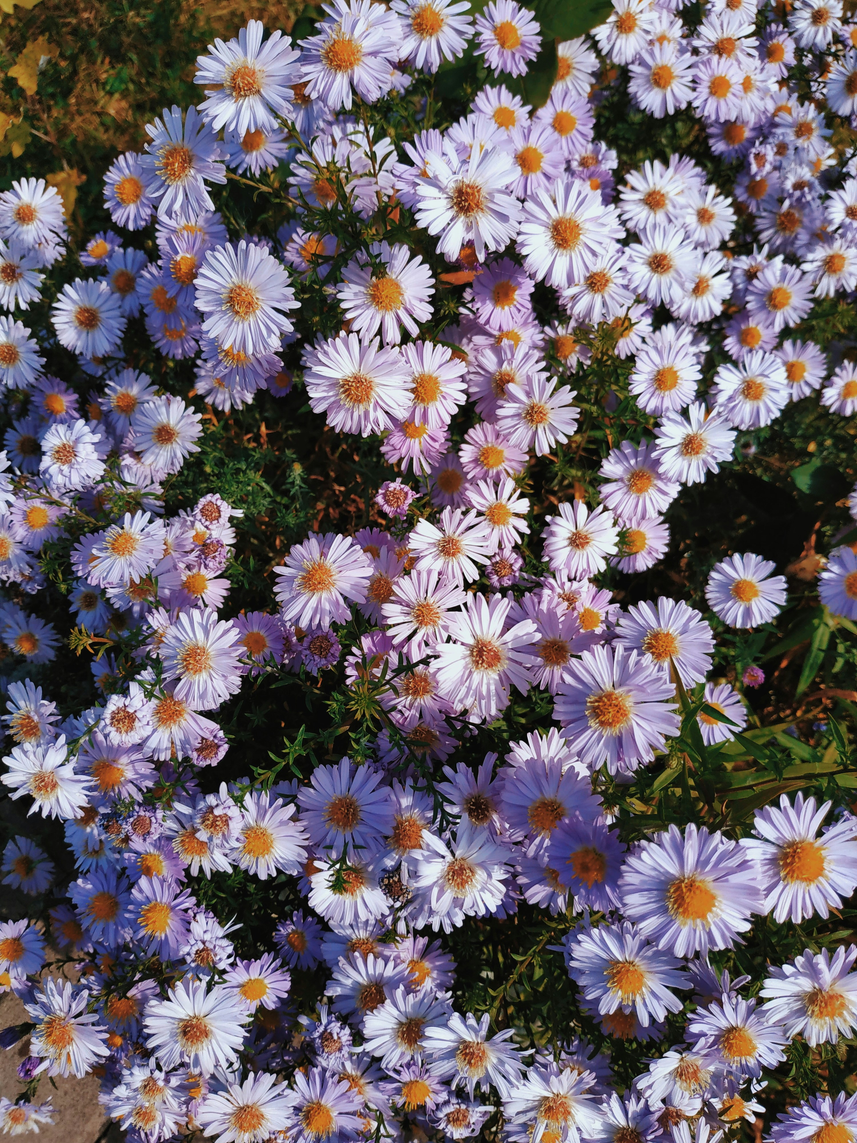 Photo by solnce_asya