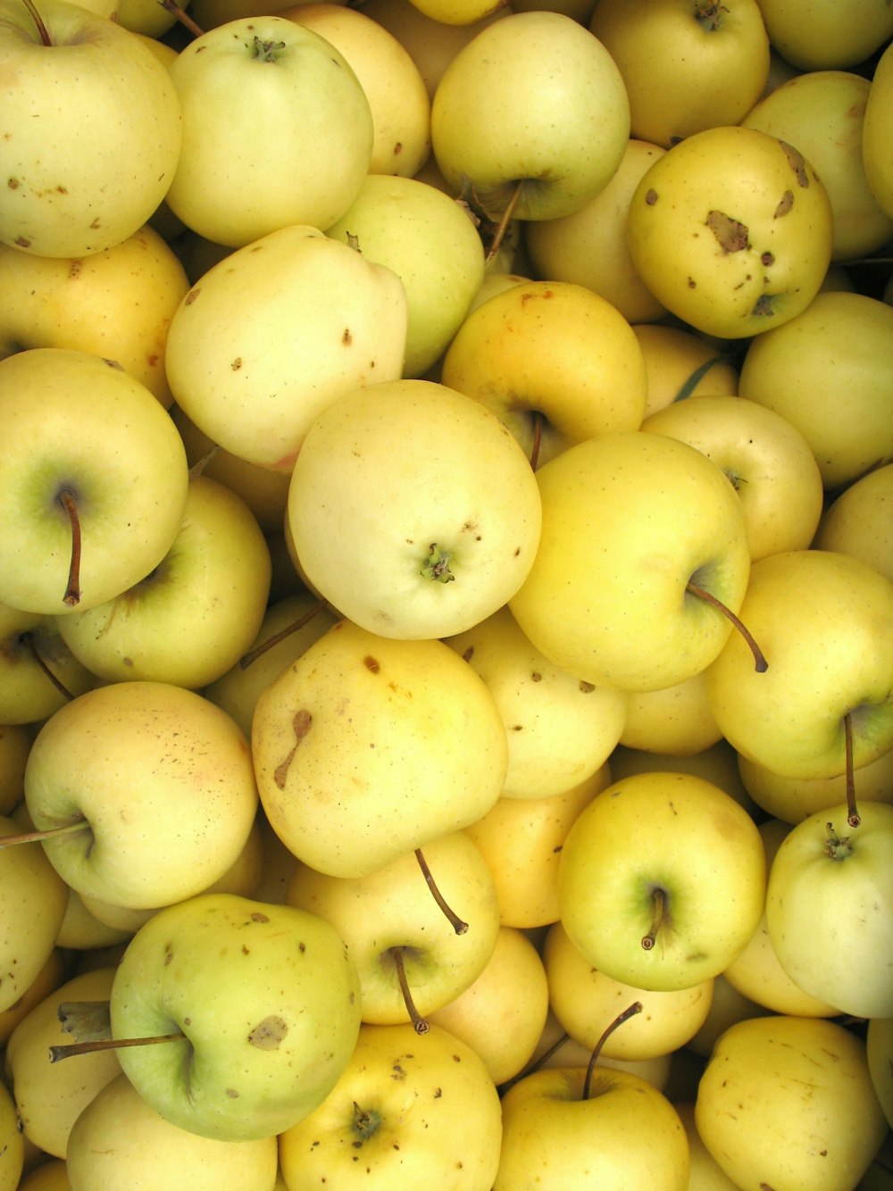 round green fruits