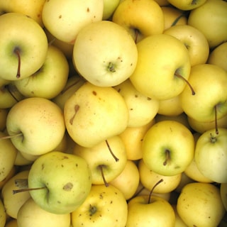 round green fruits