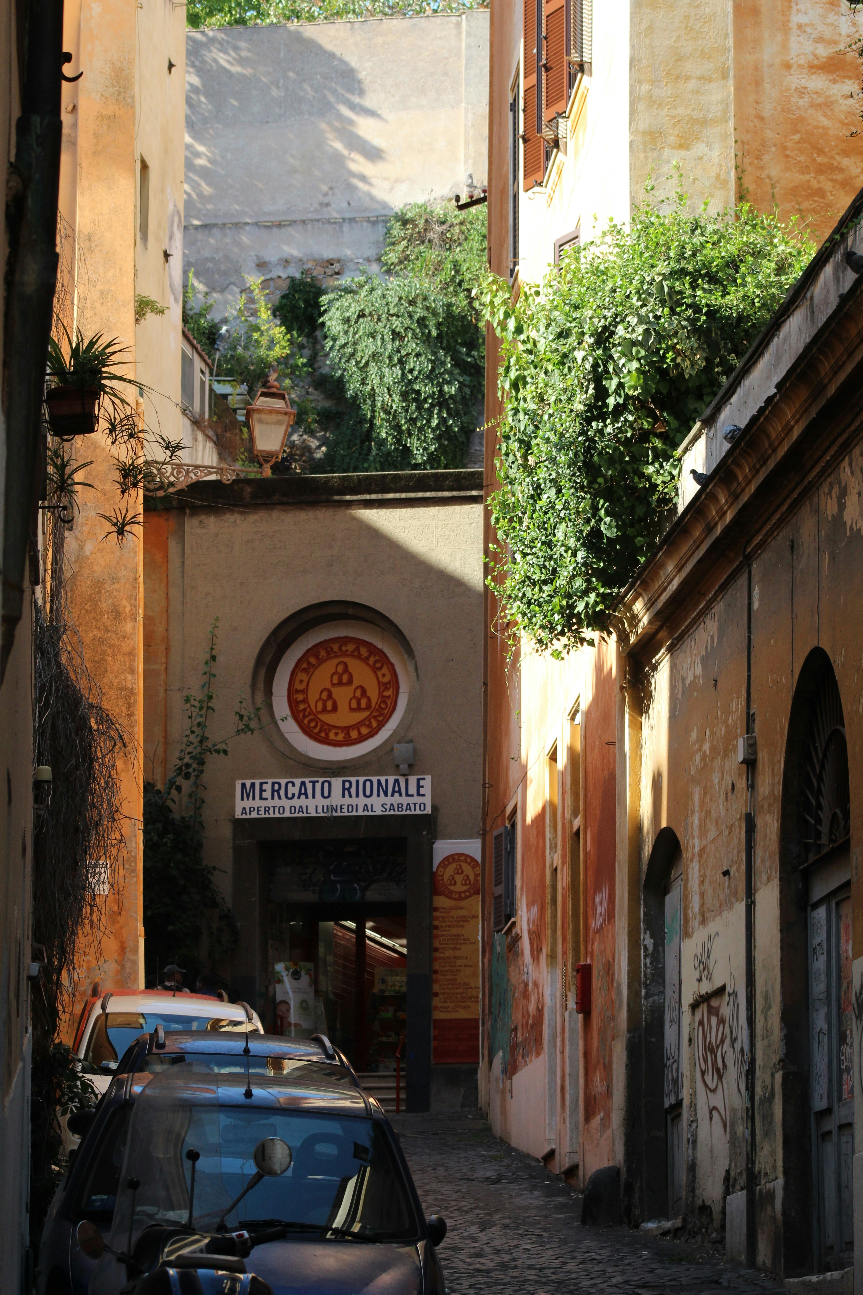 Photo by polarmermaid