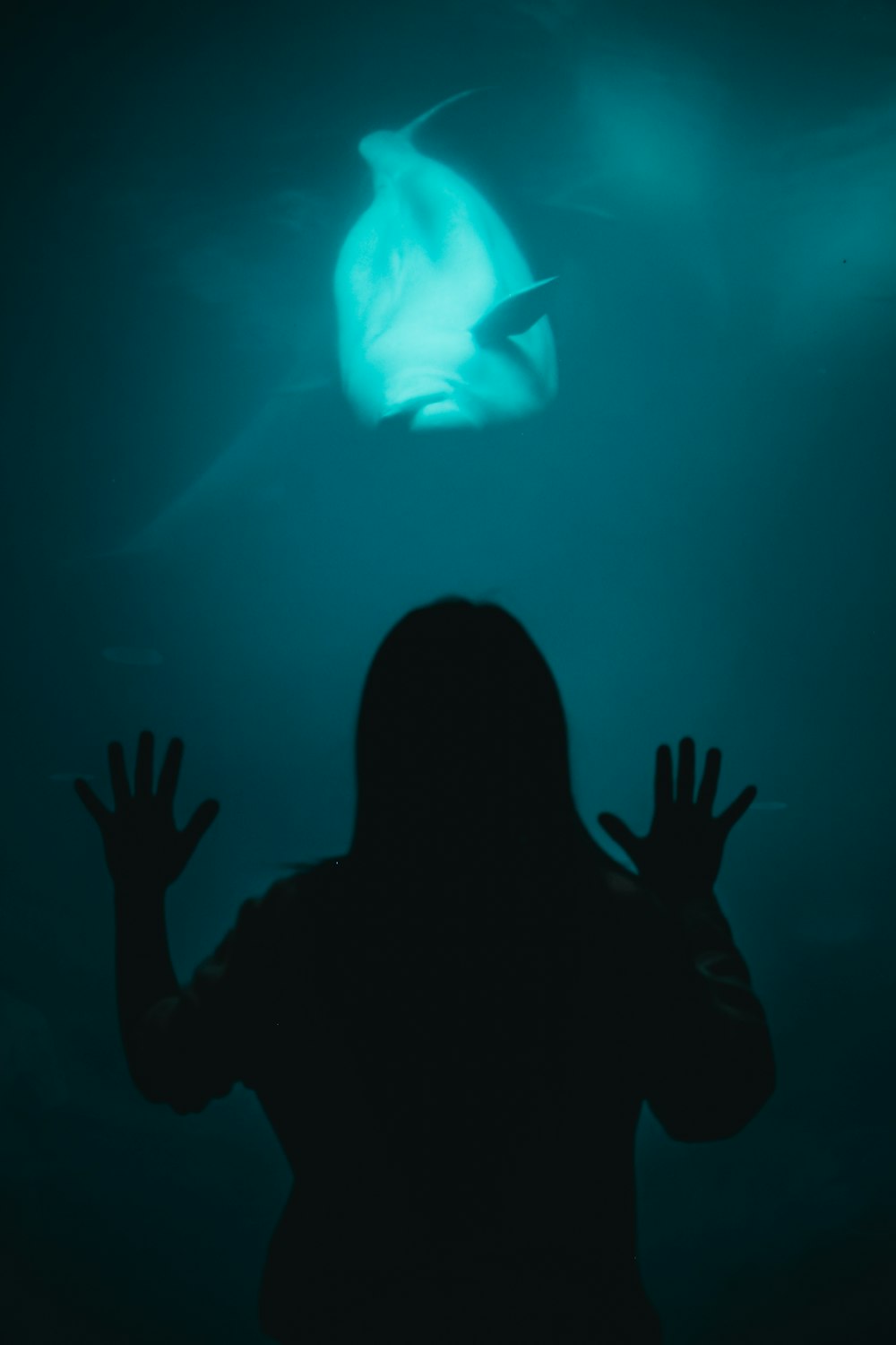 woman beside aquarium