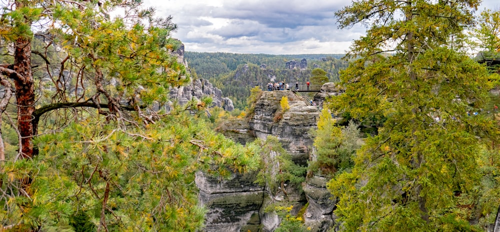 a group of people standing on top of a cliff