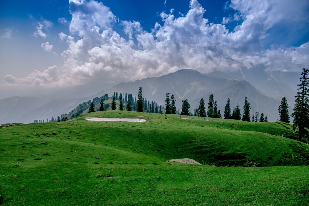 green field under white skies during daytime