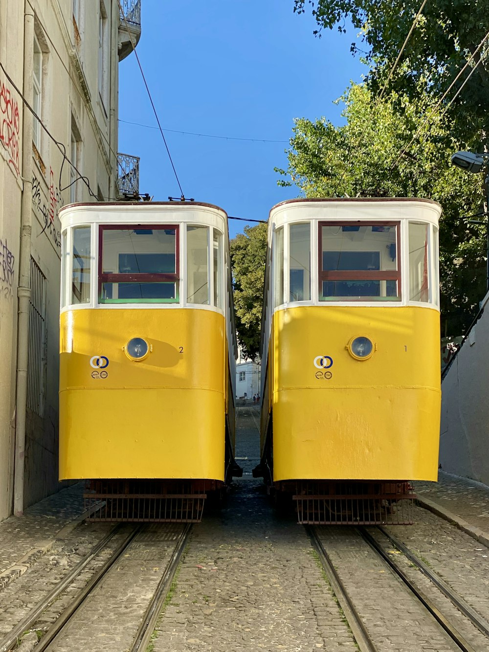 two yellow trains