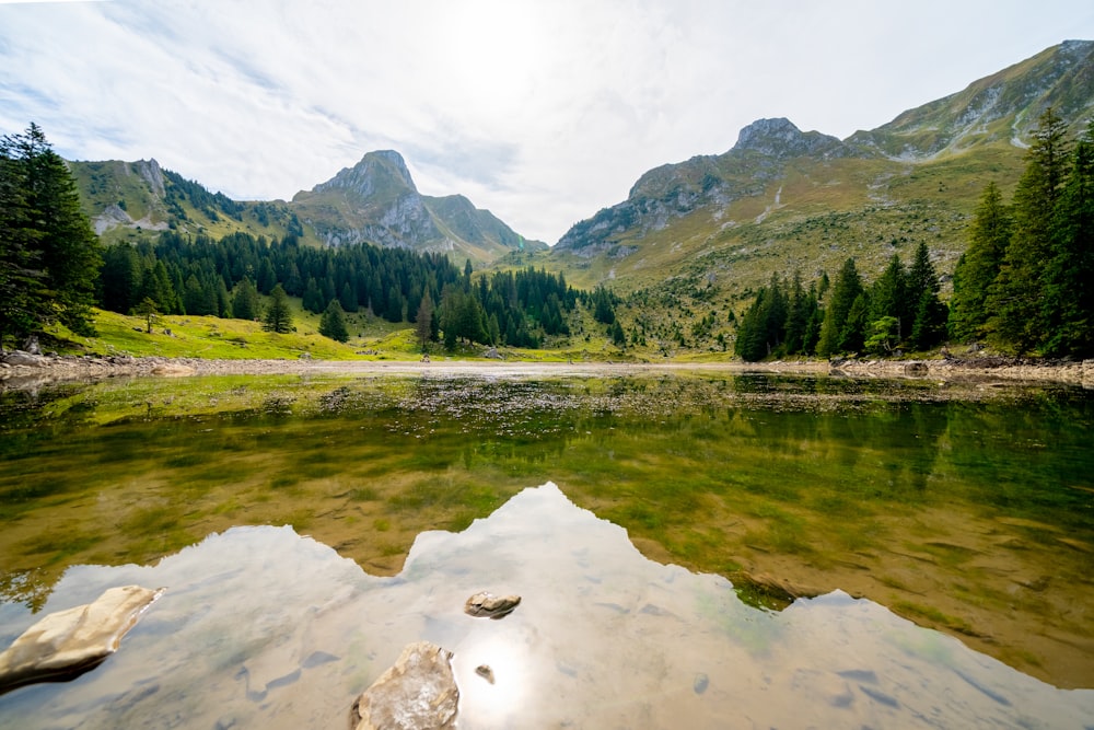 lake, mountains, and trees during day