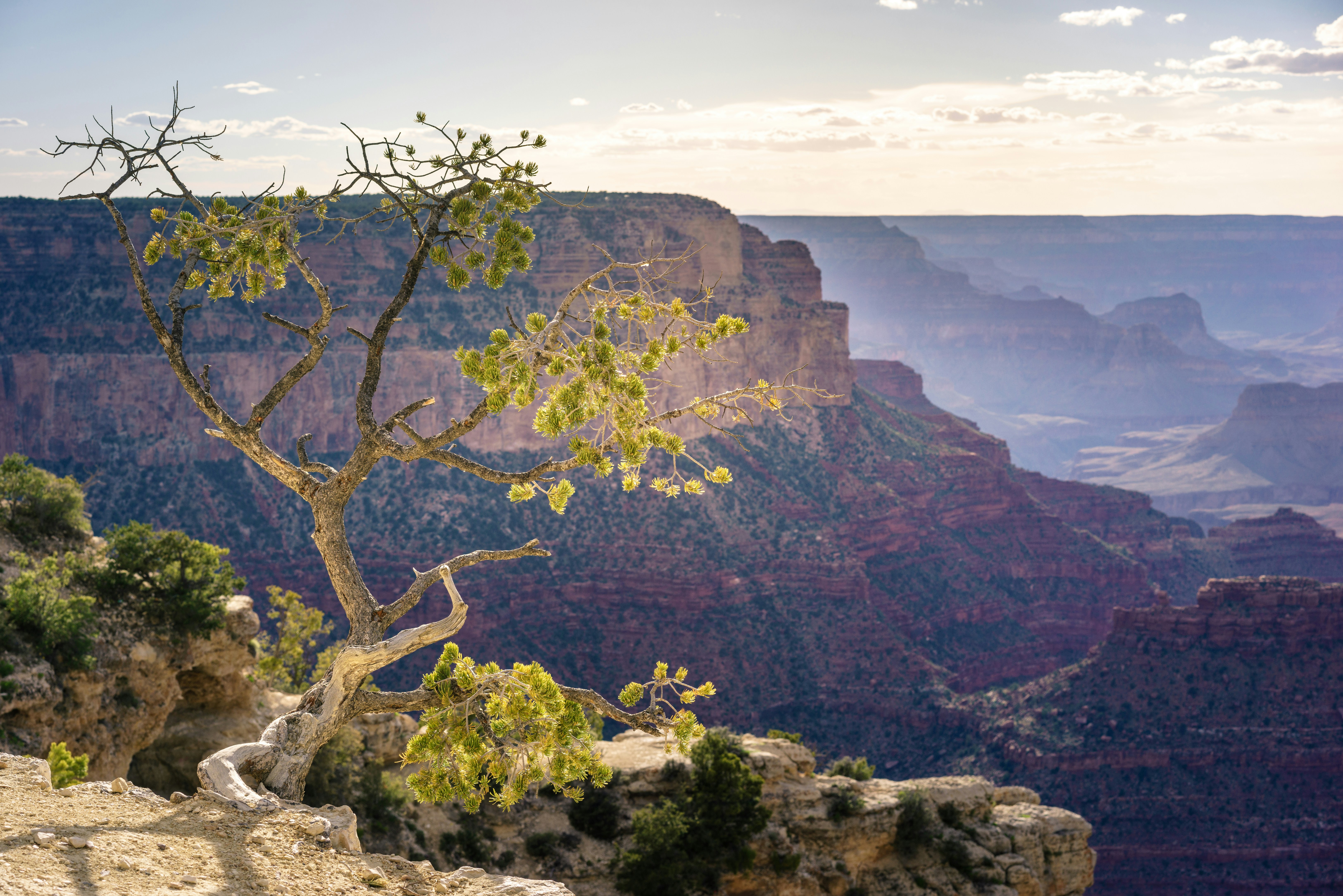 Choose from a curated selection of landscape photos. Always free on Unsplash.